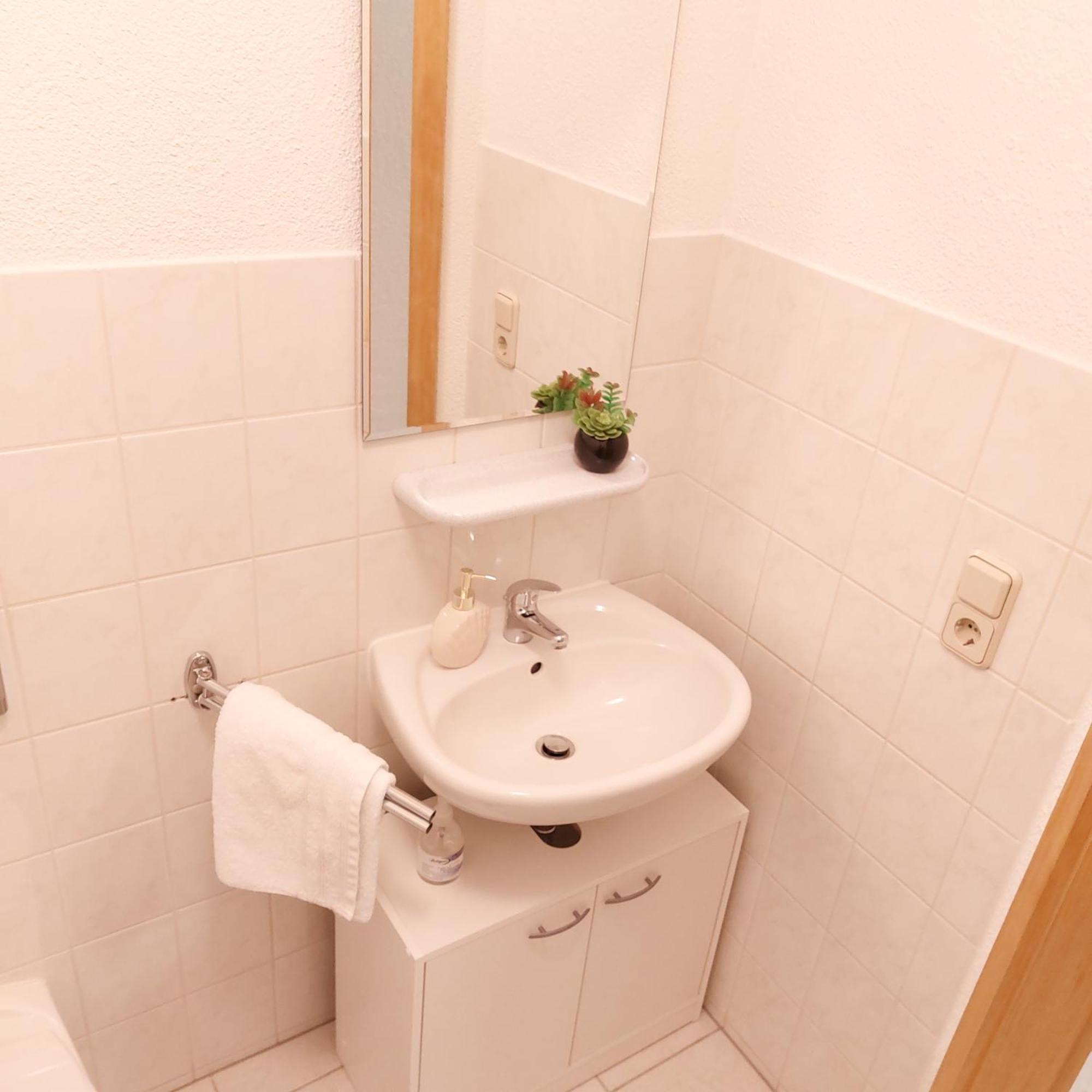 Weisses Ross Apartment Pirna
